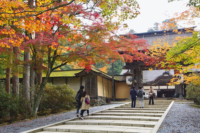 Koyasan Full-Day Private Tour - Cancellation Policy