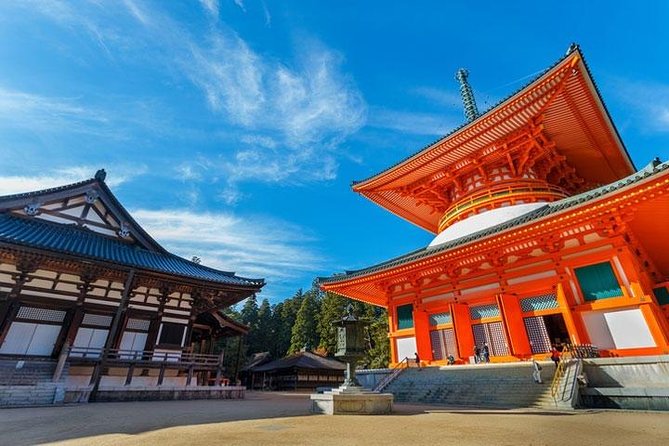 Mt. Koya Sacred Full-Day Private Tour With Government Licensed Guide - Pricing and Group Size Options