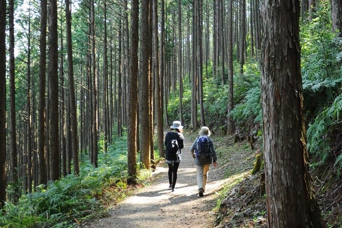 Kumano Kodo Pilgrimage Tour With Licensed Guide & Vehicle - Frequently Asked Questions