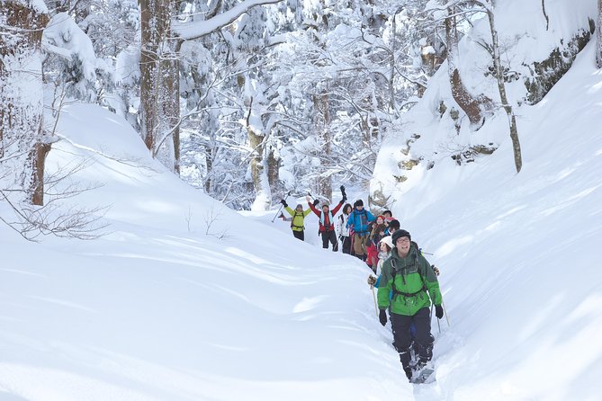 Snowshoe Tour - Questions and Support, Pricing and Terms