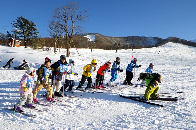 Private Ski Lesson for Family or Group(Transport Included ) - Participant Requirements and Recommendations
