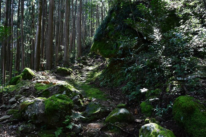 Private Spiritual Hike in Hidakamura With Mountain Monk - Frequently Asked Questions