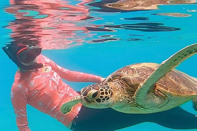 Private Swimming and Snorkeling Tour With Sea Turtles in Amami - Directions