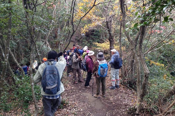 Granite Obelisk in Yakushima Full-Day Trekking Tour - Tour Pricing and Guarantee