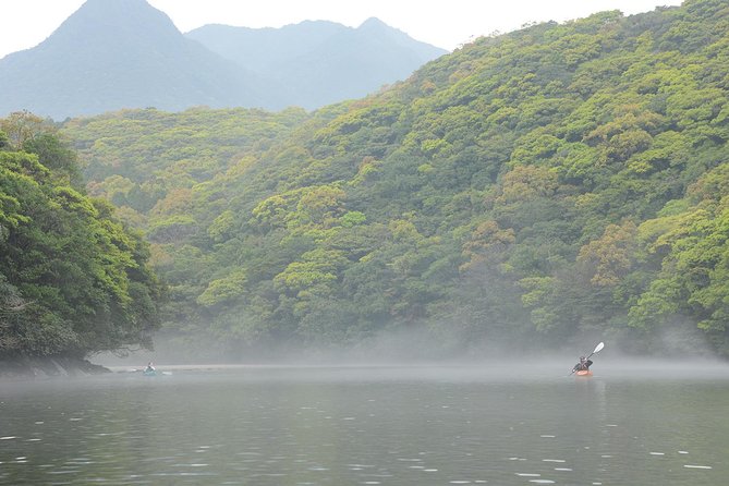 Private Half Day Kayaking Trip On Kyushu X S Anbo River Kagoshima Prefecture Quick Takeaways