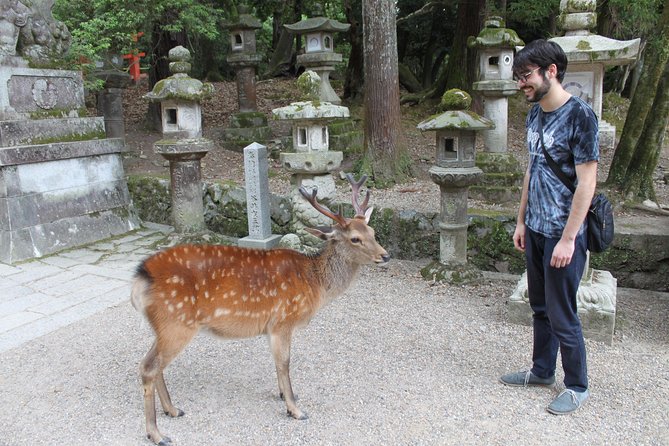 Nara - Highlights Bike Tour - Exploring Kasuga Taisha