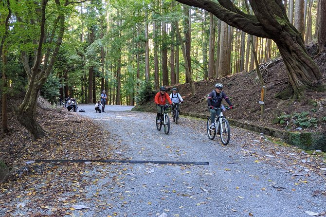 Nara - Heart of Nature Bike Tour - Local Wildlife and Natural Wonders