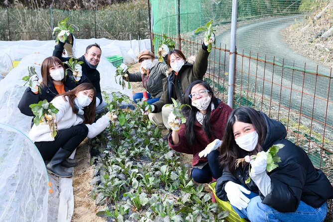 Farming Experience in a Beautiful Rural Village in Nara - The Sum Up