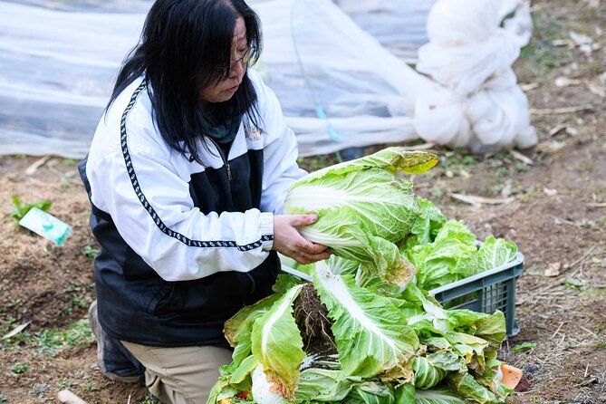 Farming Experience in a Beautiful Rural Village in Nara - Frequently Asked Questions