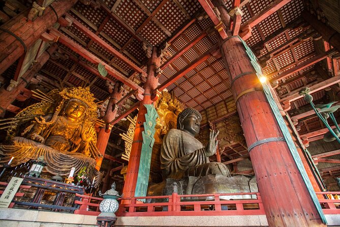 Nara Half Day Walking Tour With Todaiji And Deer - Cancellation Policy and Pricing
