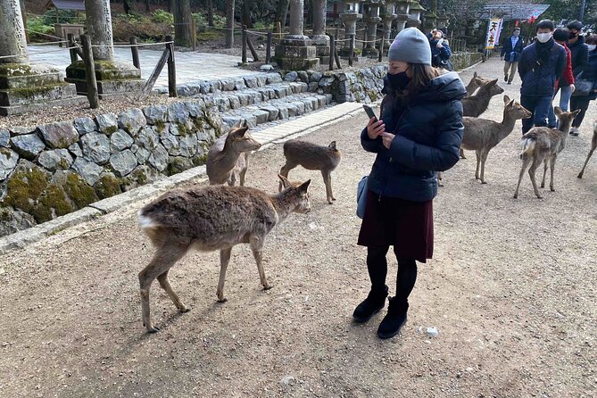 Nara Full-Day Private Tour With Government-Licensed Guide - Immerse Yourself in Todai-ji Temple
