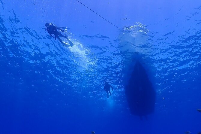 Boat Fundive 2Dives at Minna Isl or Sesoko , Okinawa - Meeting and Pickup