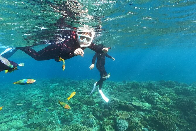 Boat Snorkeling Trip 1 Round at Minna Isl or Sesoko , Okinawa - Cancellation Policy Details