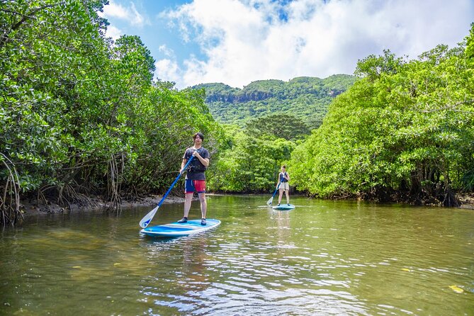 [Iriomote] SUP / Canoe Tour at Mangrove Forest Sightseeing in Yubujima Island - Experience the Tranquility and Serenity of Paddling Through Iriomotes Mangroves