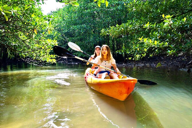 Iriomote SUP & Canoe Tour At Mangrove Forest In Okinawa - The Sum Up