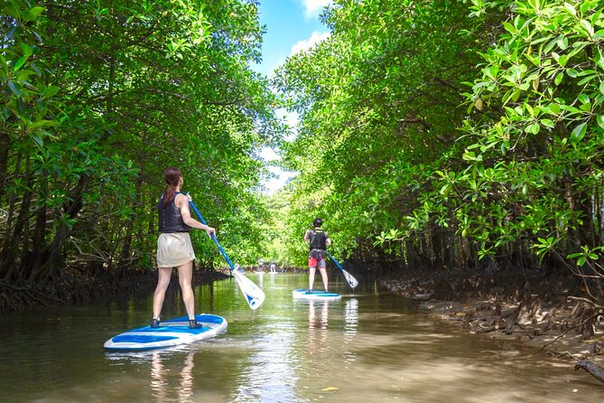 [Okinawa Iriomote] Sup/Canoe Tour at Mangrove & Limestone Cave Exploration - Booking and Cancellation Policies