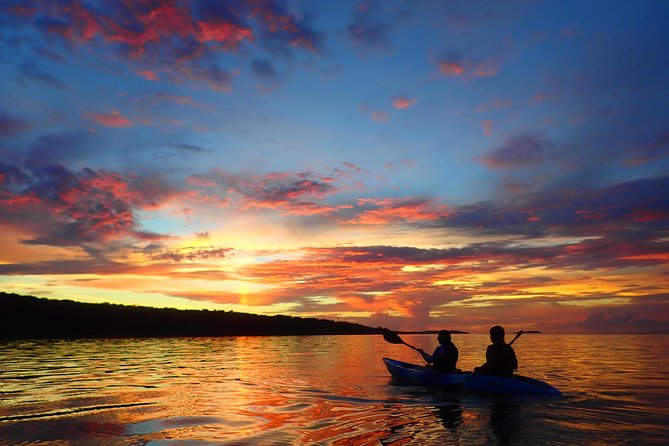 [Okinawa Iriomote] Sunrise SUP/Canoe Tour in Iriomote Island - Price and Additional Information