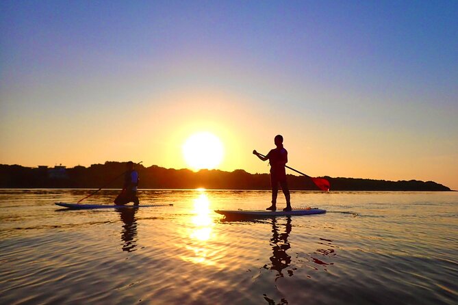 [Okinawa Iriomote] Sunrise SUP/Canoe Tour in Iriomote Island - Tips for a Memorable Experience