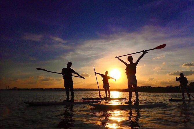 [Okinawa Iriomote] Sunset SUP/Canoe Tour in Iriomote Island - Booking Information