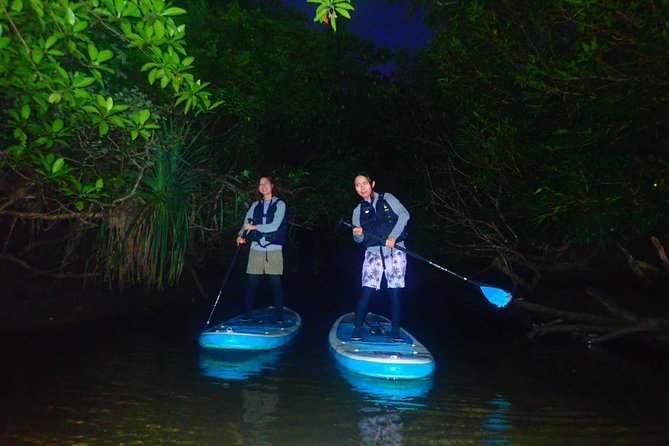 [Okinawa Iriomote] Night SUP/Canoe Tour in Iriomote Island - Booking Information