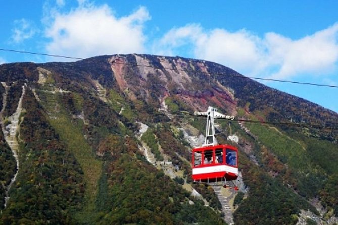 Private and Customizable Culture and Nature Tour, Nikko - Train Travel From Tokyo to Nikko