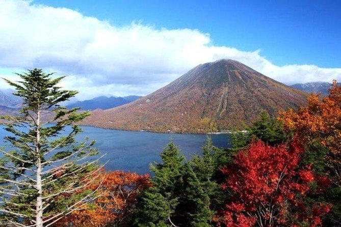 Nikko Full-Day Private Tour With Government-Licensed Guide - Availability and Reservation
