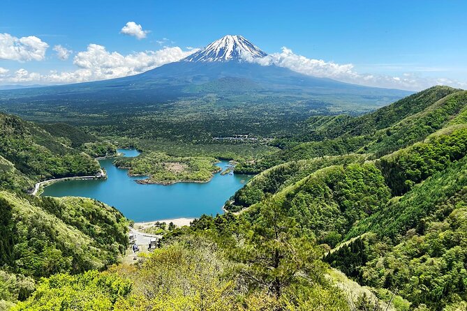 Aokigahara Nature Conservation Full-Day Hiking Tour - Inclusions