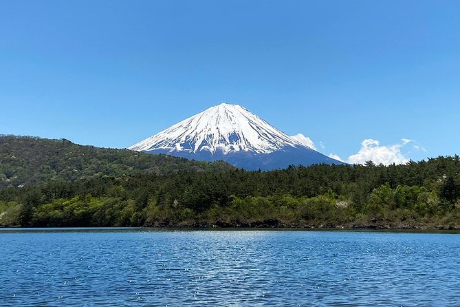 Aokigahara Nature Conservation Full-Day Hiking Tour - Frequently Asked Questions