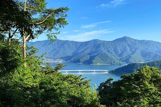 Lake Kawaguchiko Overlook Bike and Hike Tour - Traveler Reviews