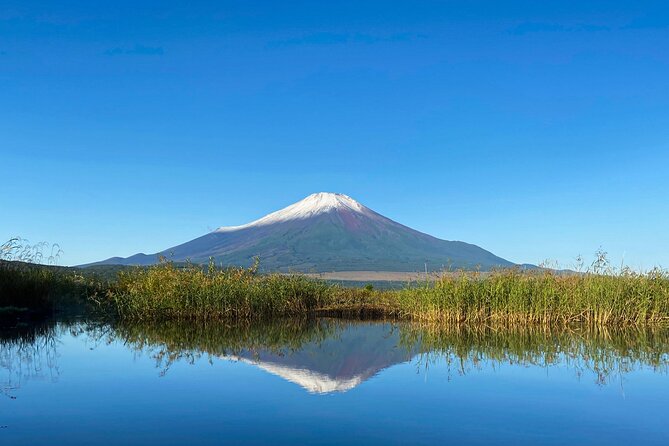 Mt Fuji Crafts Village and Lakeside Kid-Friendly Bike Tour - Traveler Photos