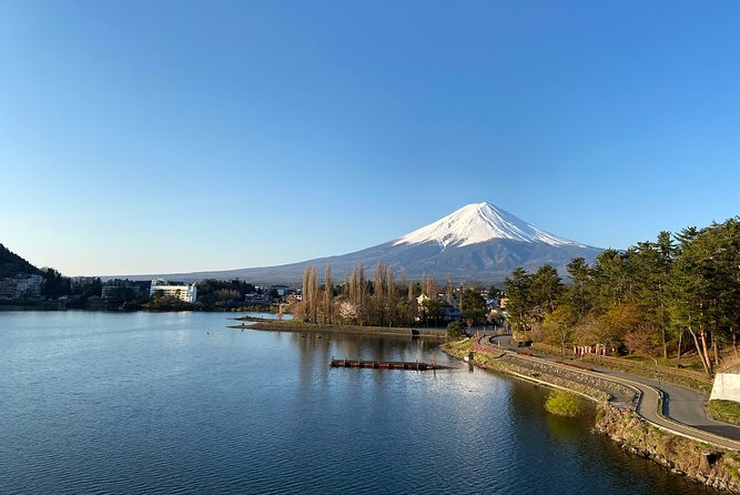 Mt Fuji Half-Day Tour By Car - Overview and Attractions