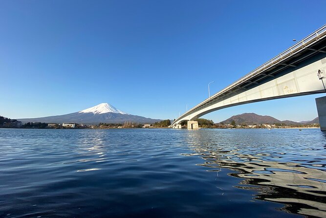 Mt Fuji Half-Day Tour By Car - Inclusions