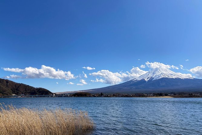 Mt Fuji Half-Day Tour By Car - Additional Information