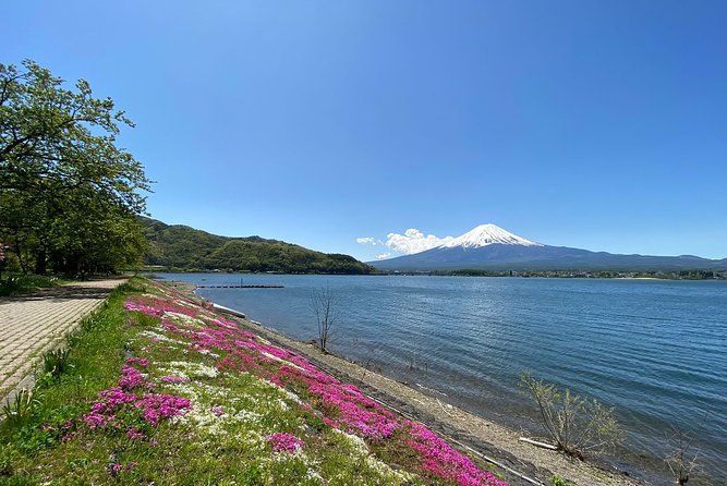 Mt Fuji Full-Day Tour By Car - Pricing and Terms & Conditions