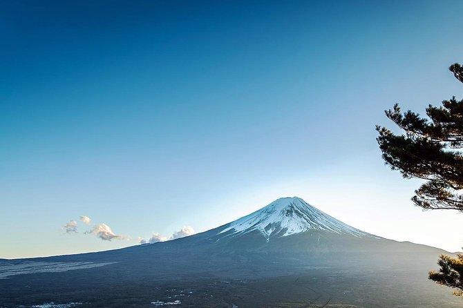 Private 3-Hour Biking Adventure: Descend Mount Fuji 2024 - Fujikawaguchiko-machi - Meeting and Pickup Information