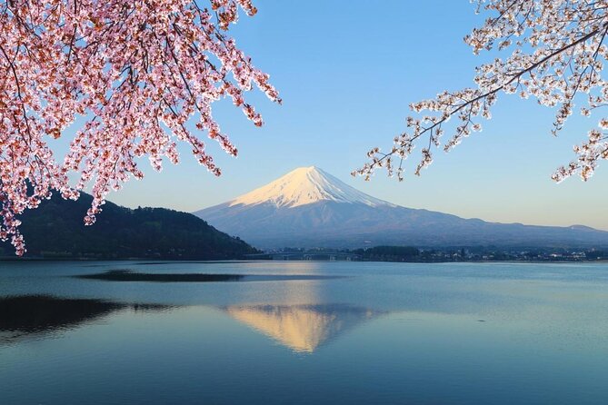 Mount Fuji Lakeshores Bike Tour - Tour Inclusions