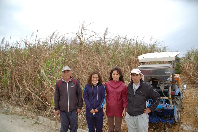 Sugarcane Cutting Experience With Okinawas Grandfather - Quick Takeaways