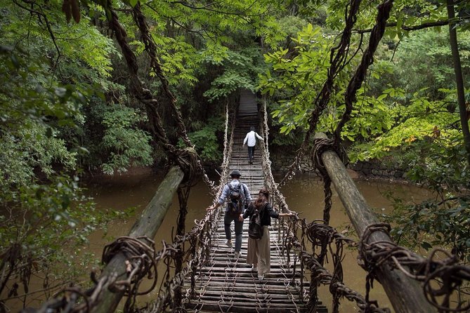 Takamatsu Half-Day Private Tour With Government-Licensed Guide - Weather Conditions and Refunds