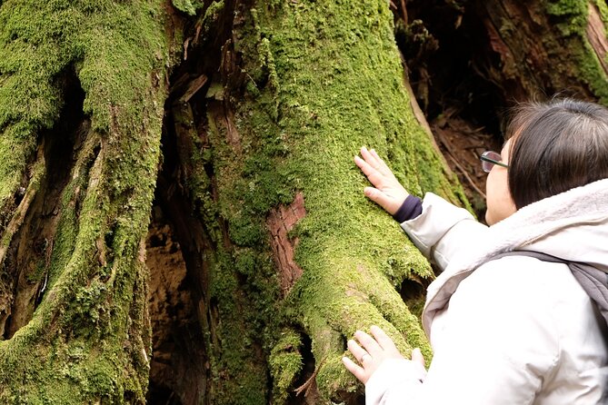 Forest Bathing in Temple and Enjoy Onsen With Healing Power - Tips for a Relaxing and Restorative Experience