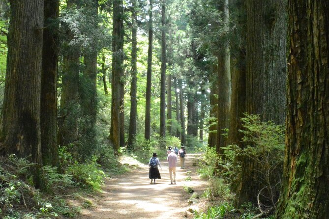 Hike Hakone Hachiri - Trail Overview