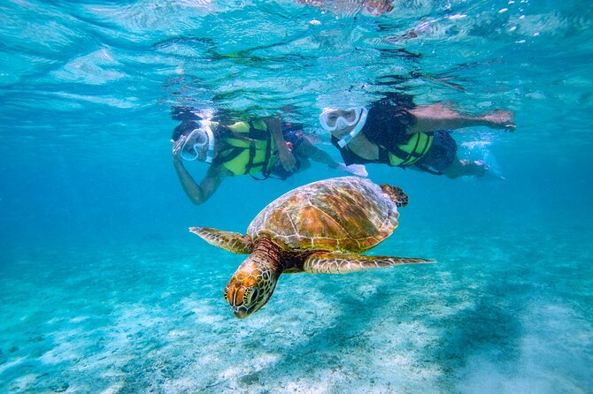 Miyakojima / Snorkel Tour to Swim With Sea Turtles - Meeting and Pickup