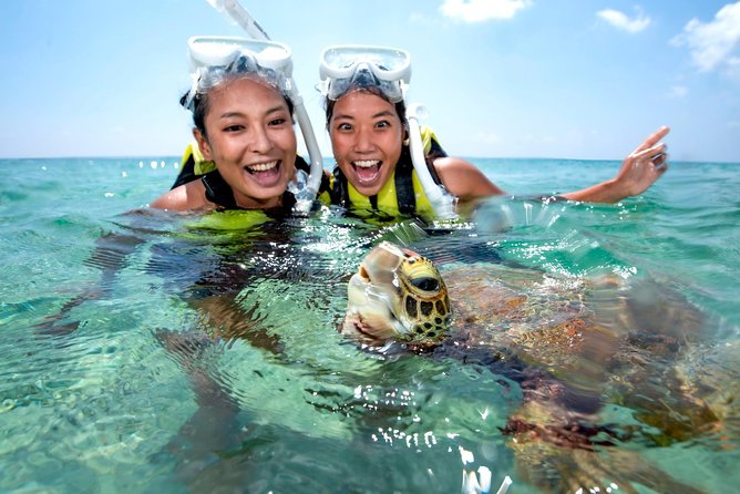 Miyakojima / Snorkel Tour to Swim With Sea Turtles - Expectations and Recommendations