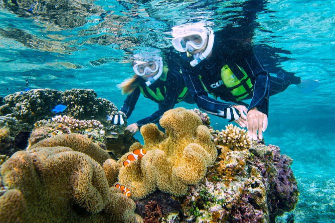 Miyakojima / Snorkel Tour to Enjoy Coral and Fish - Meeting and Pickup Information