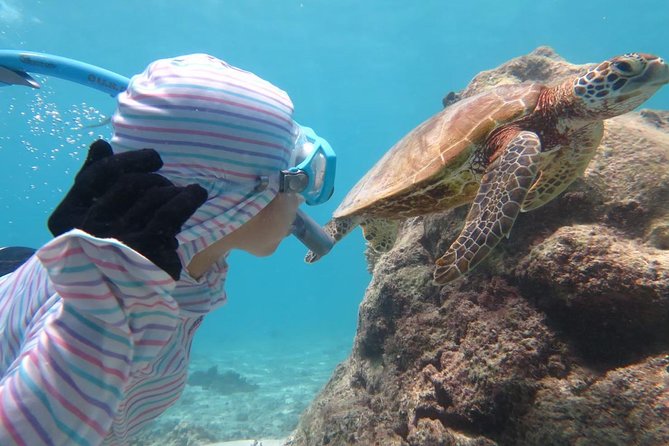 [Miyakojima Snorkel] Private Tour From 2 People Lets Look for Sea Turtles! Snorkel Tour That Can Be - Cancellation Policy and Refund Guidelines