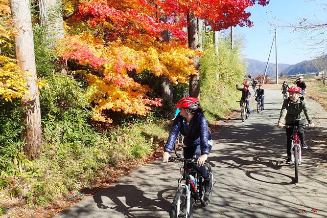 Private Afternoon Cycling Tour in Hida-Furukawa - Local Attractions