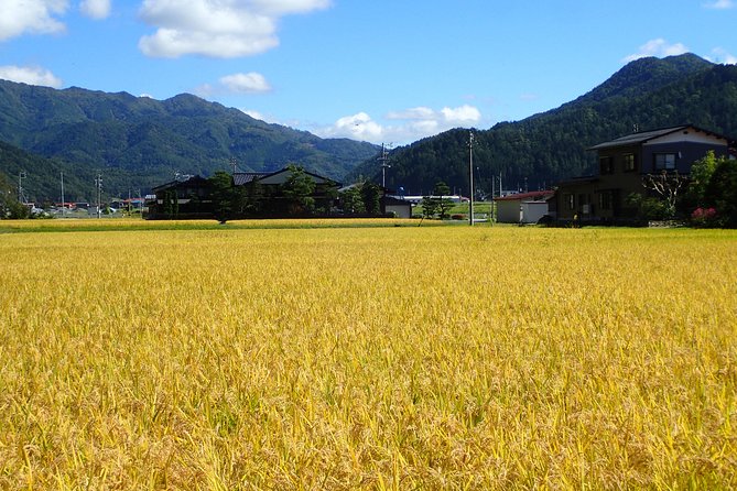 Private Afternoon Cycling Tour in Hida-Furukawa - Tour Highlights