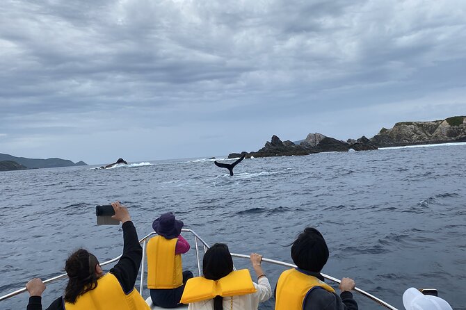 Great Whale Watching at Kerama Islands and Zamami Island - Frequently Asked Questions