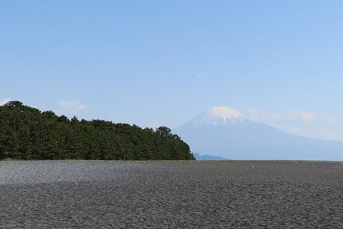 Mt. Fuji, Visit Where All the Japanese People Belong (Chartered Taxi Tour) - Booking Process