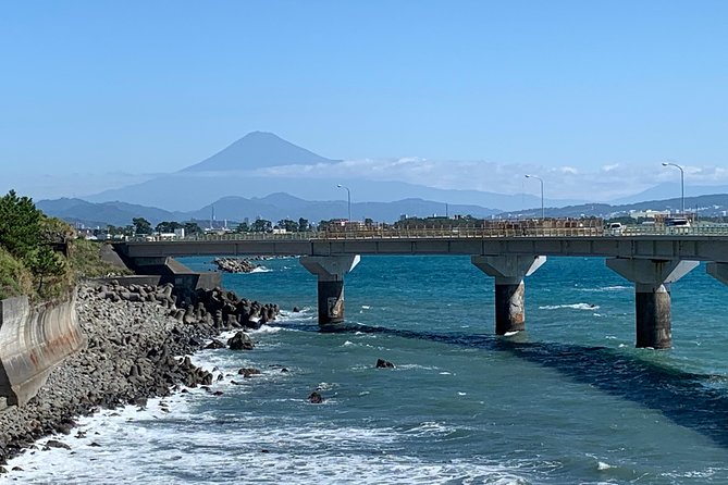 Guided Hybrid Bike Tour in Shizuoka City - Bike Tour Highlights