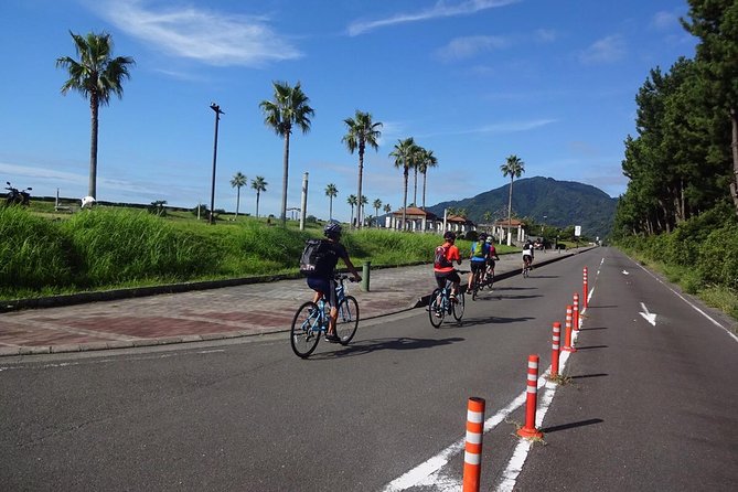 Guided Hybrid Bike Tour in Shizuoka City - Tour Overview and Inclusions